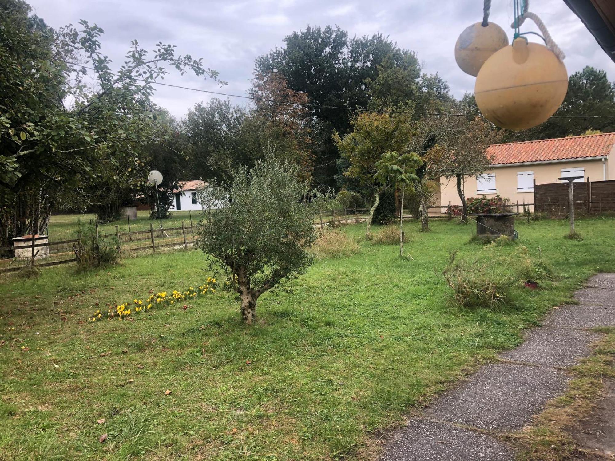 Petite Maison Rustique Et Atypique Hourtin Exterior foto